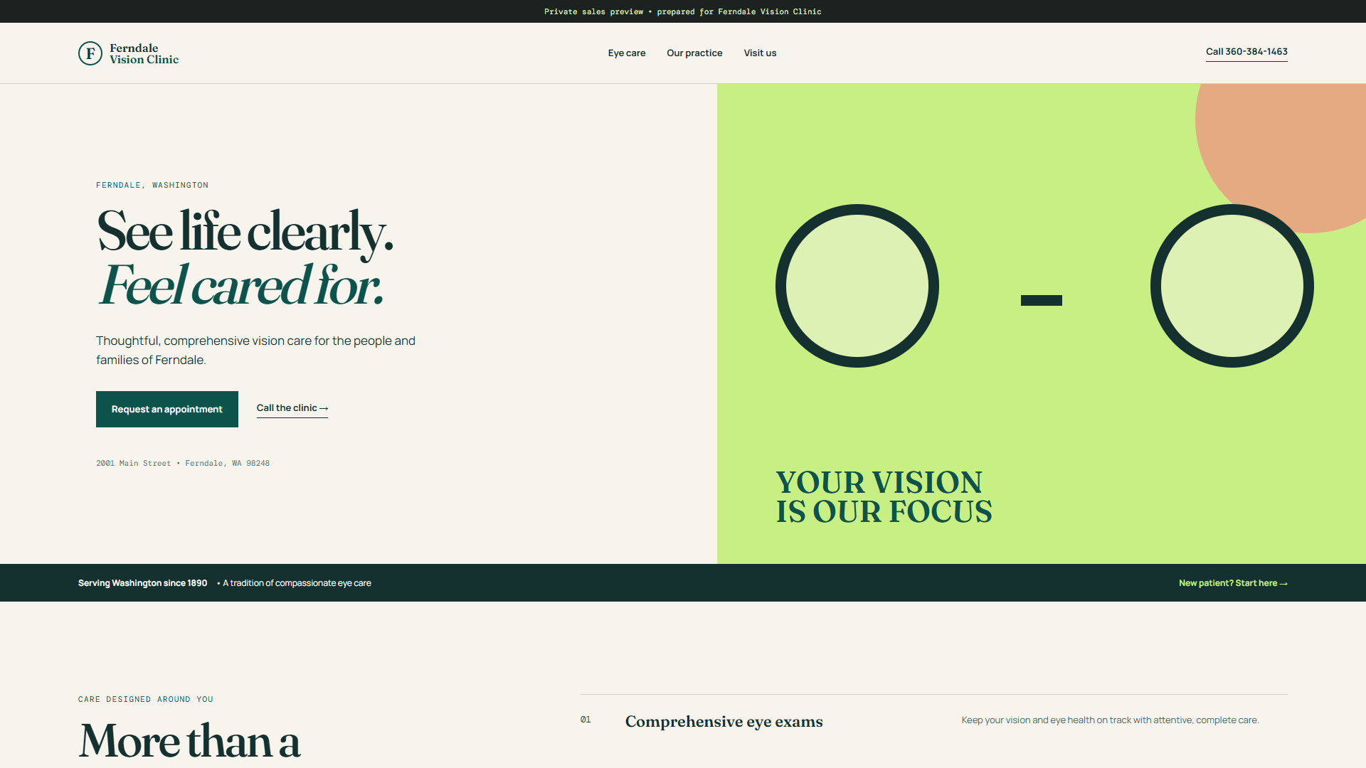 Ferndale Vision Clinic website design example
